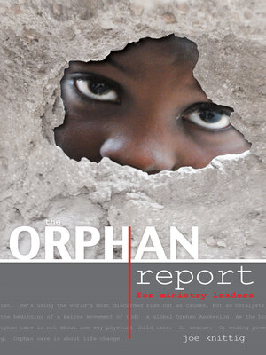 cover image of The Orphan Report--For Ministry Leaders: the Orphan Report--For Ministry Leaders